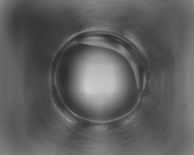 X0000075340156200609081132