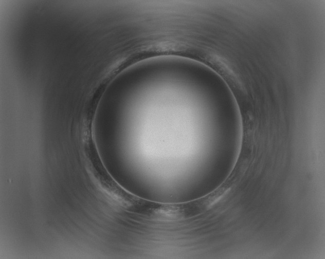 X0000075340164200609081133