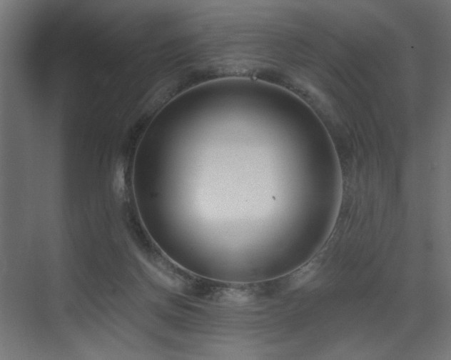 X0000075340166200609081133