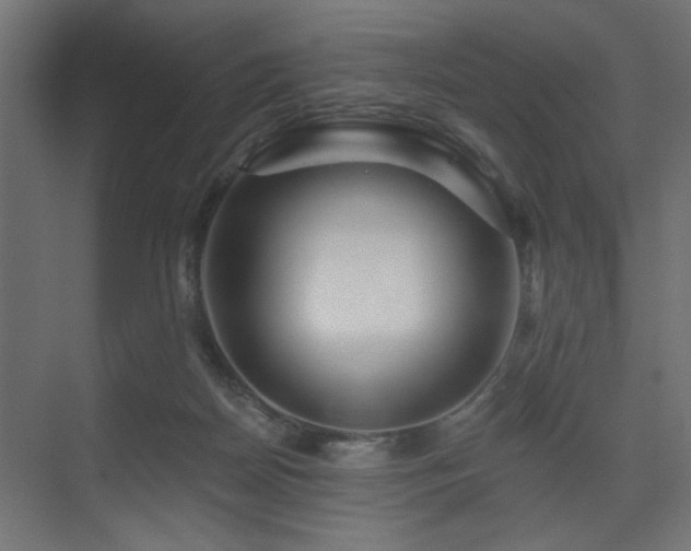 X0000075340170200609081133