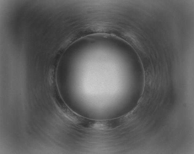 X0000075340171200609081133