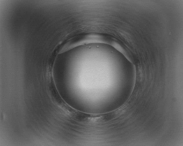 X0000075340172200609081133