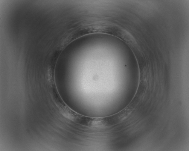 X0000075340173200609081133