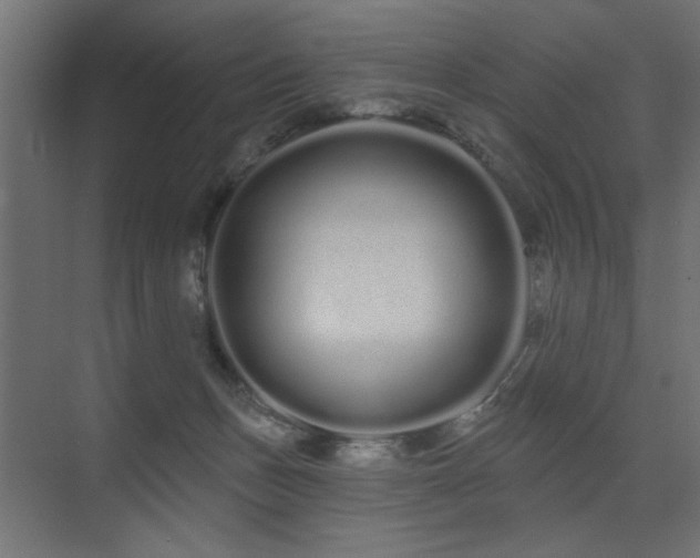X0000075340175200609081133
