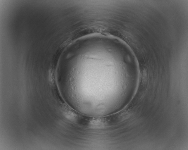 X0000075340177200609081133