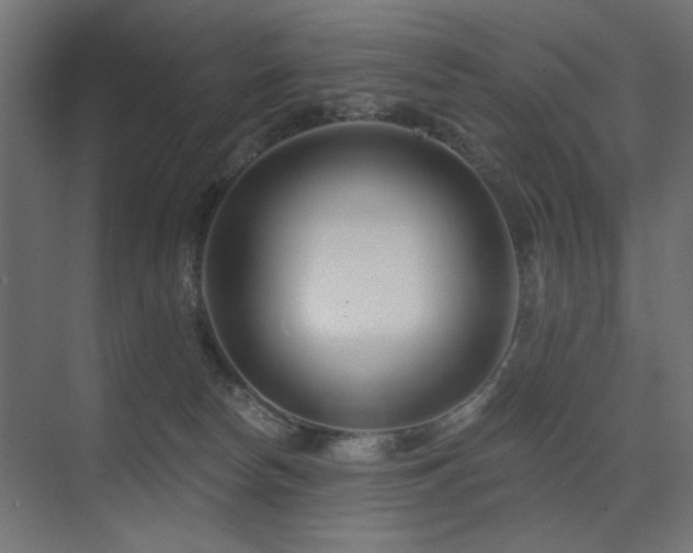 X0000075340178200609081133