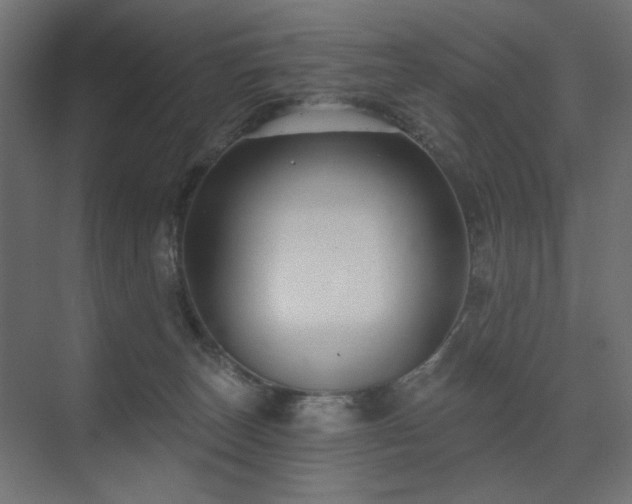 X0000075340179200609081133