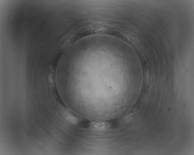X0000075340181200609081133
