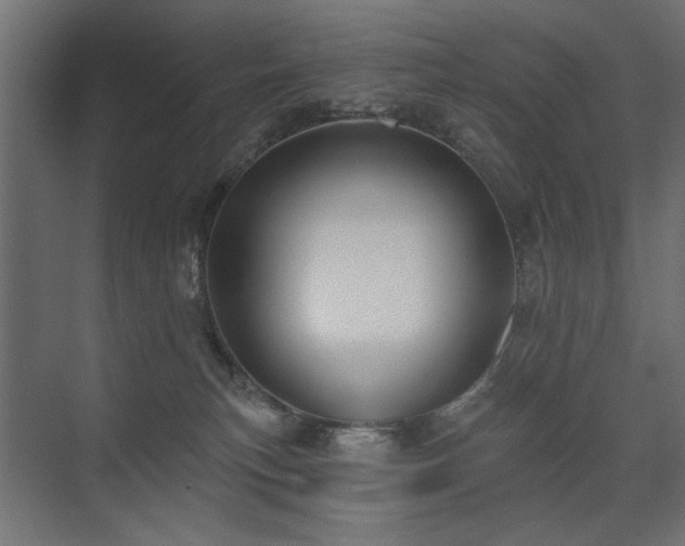 X0000075340183200609081133