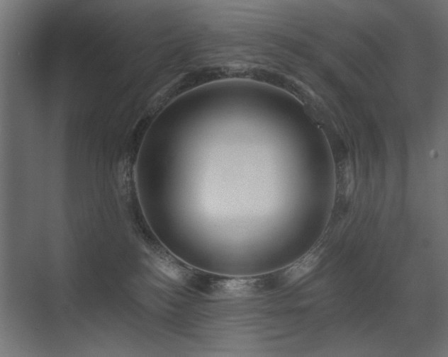 X0000075340184200609081133