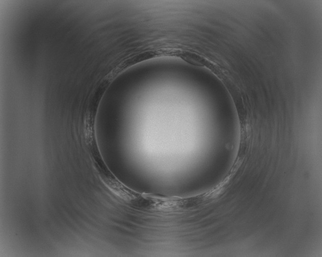 X0000075340186200609081133
