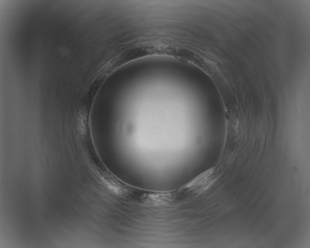 X0000075340188200609081133