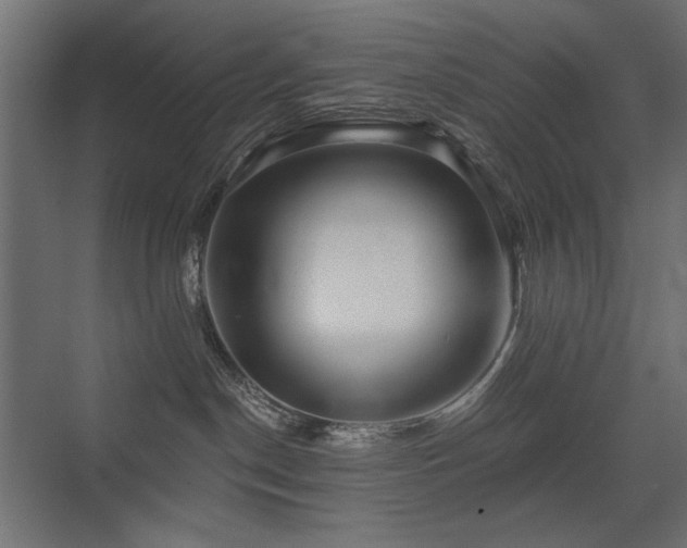 X0000075340190200609081133