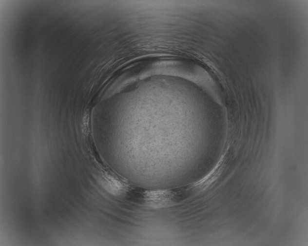 X0000075340192200609081133