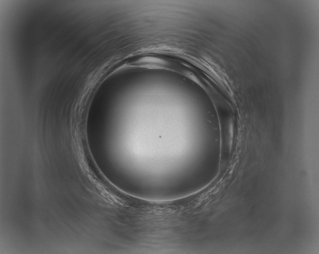 X0000075340193200609081132