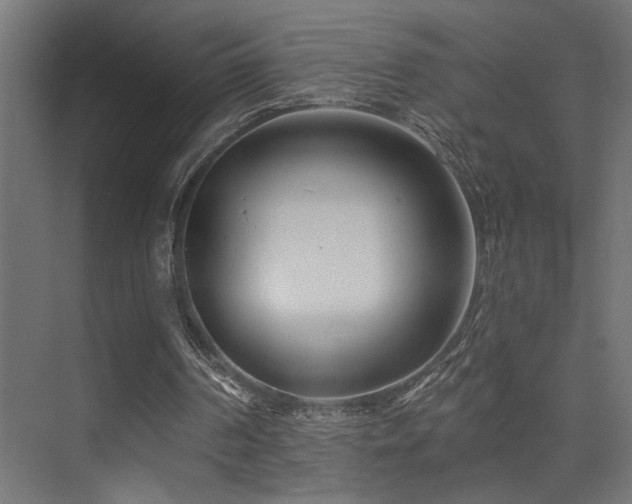 X0000075340194200609081132