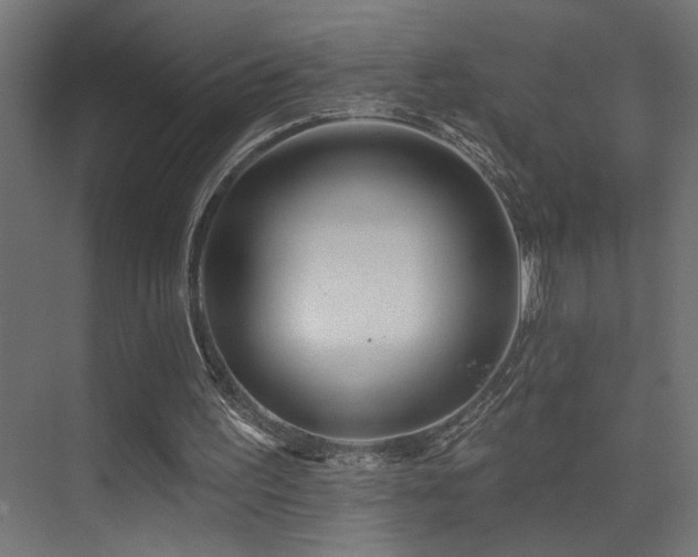 X0000075340195200609081132