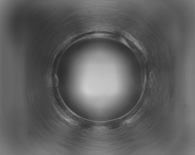 X0000075340203200609081132