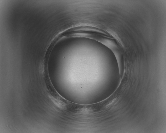 X0000075340204200609081132