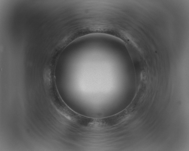 X0000075340211200609081132