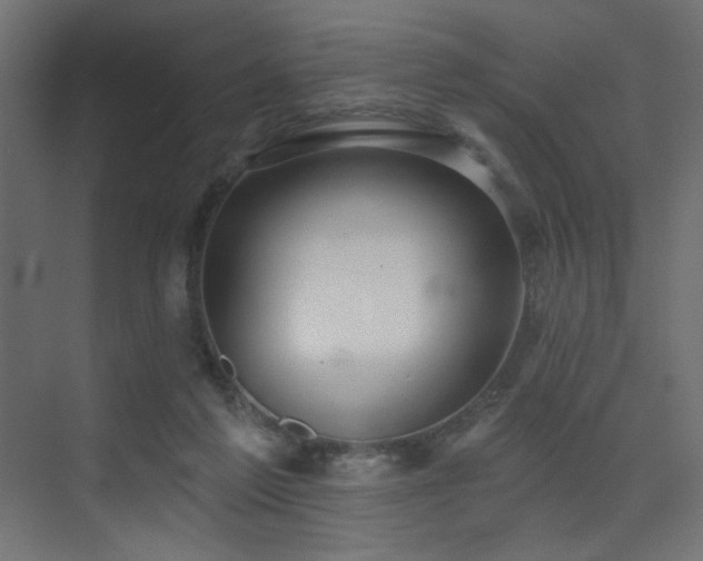 X0000075340213200609081132