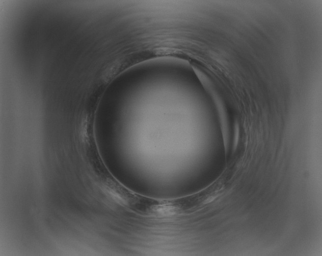 X0000075340219200609081132