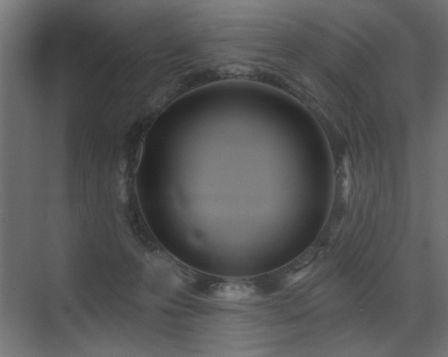 X0000075340223200609081132
