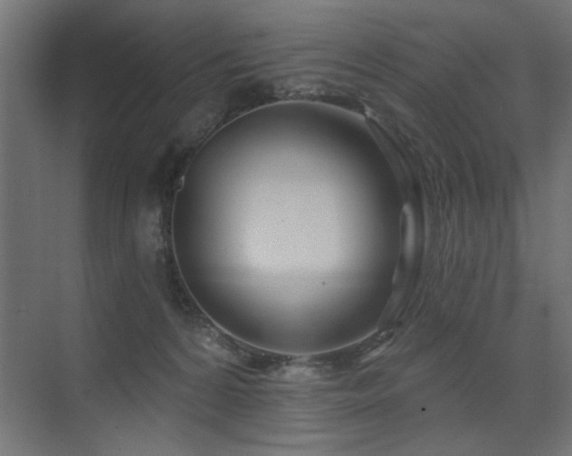 X0000075340224200609081132