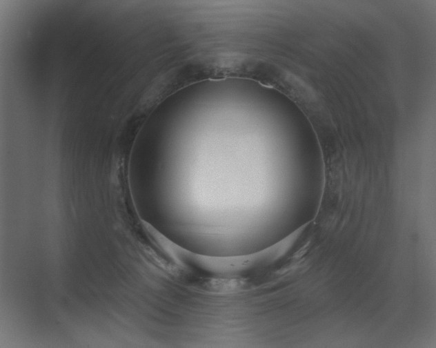 X0000075340225200609081132