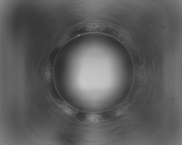 X0000075340226200609081132