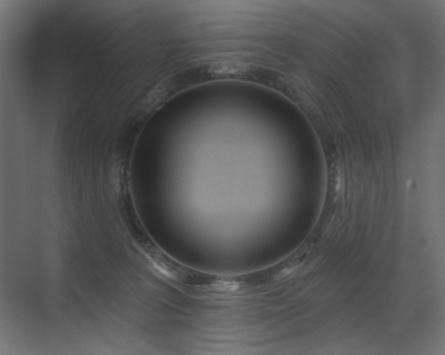 X0000075340227200609081132