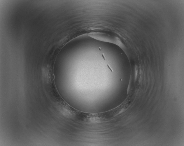 X0000075340228200609081132
