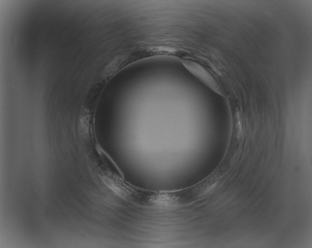 X0000075340231200609081132
