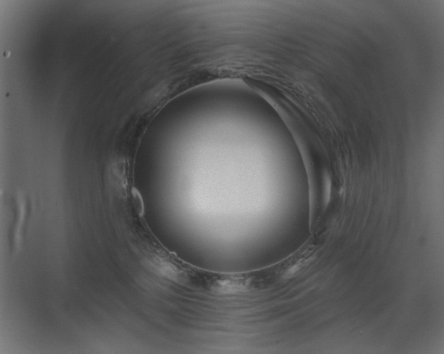 X0000075340232200609081132