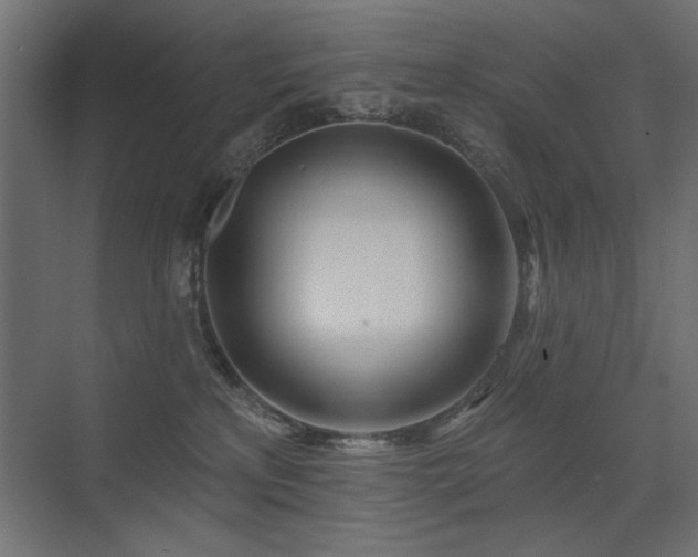 X0000075340233200609081132