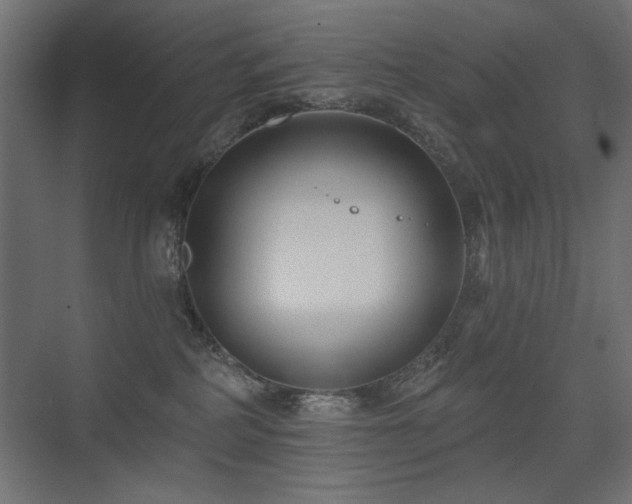 X0000075340234200609081132