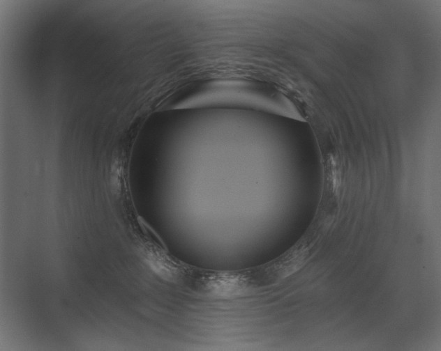 X0000075340235200609081132