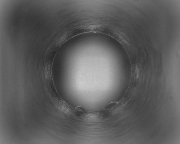 X0000075340236200609081132