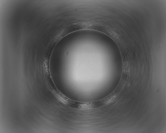 X0000075340238200609081132