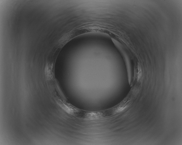 X0000075340239200609081131
