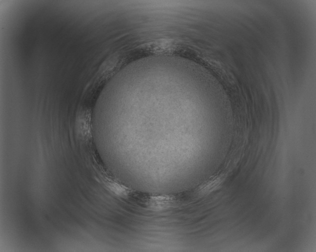 X0000075340240200609081131