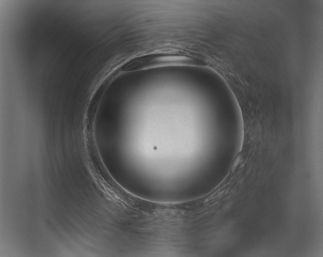X0000075340242200609081131