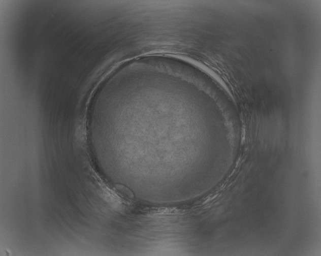 X0000075340243200609081131