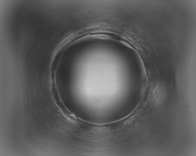 X0000075340245200609081131