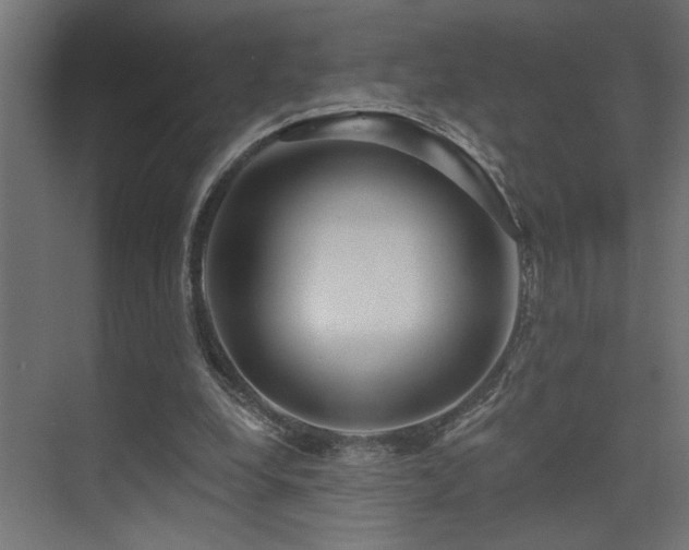 X0000075340248200609081131