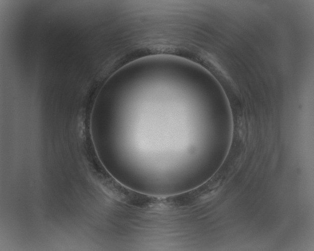 X0000075340259200609081131