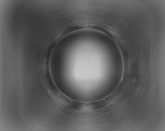X0000075340263200609081131