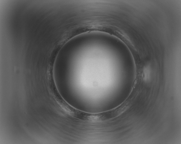 X0000075340265200609081131