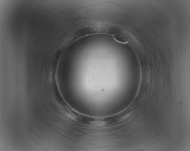 X0000075340266200609081131