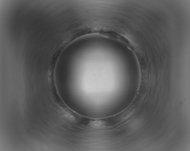 X0000075340269200609081131